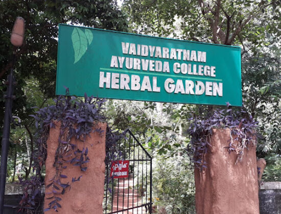 Vaidyaratnam Ayurveda College, Thrissur , Kerala