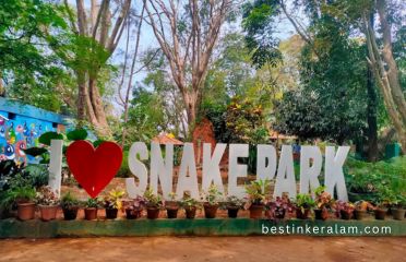 Parassinikkadavu Snake Park A Fascinating Hub of Reptilian Wonders