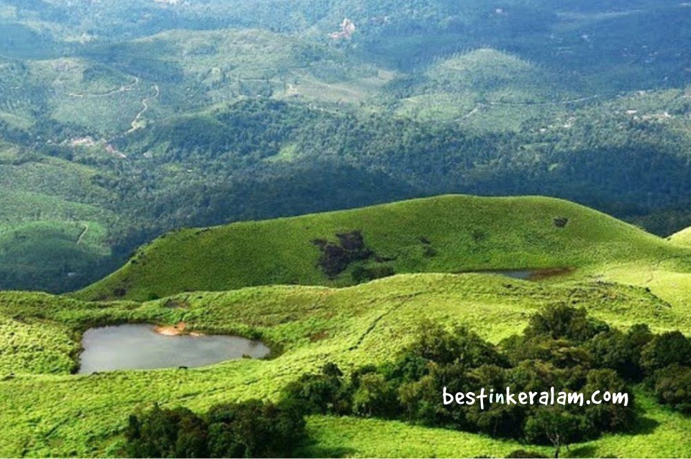 trekking in wayanad