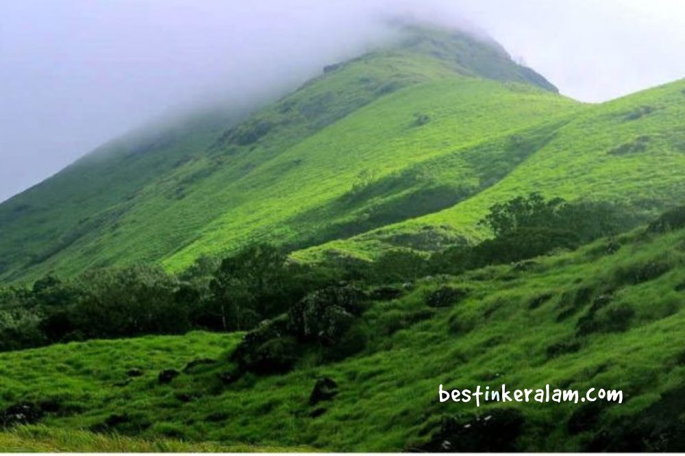 trekking in wayanad