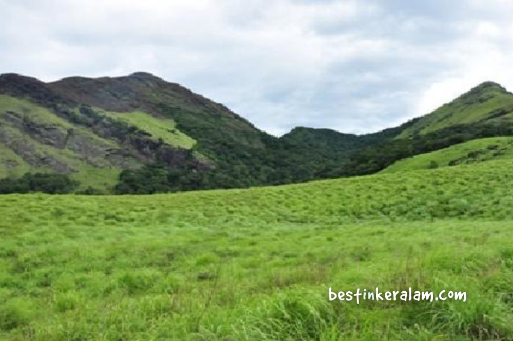 Chembra Peak