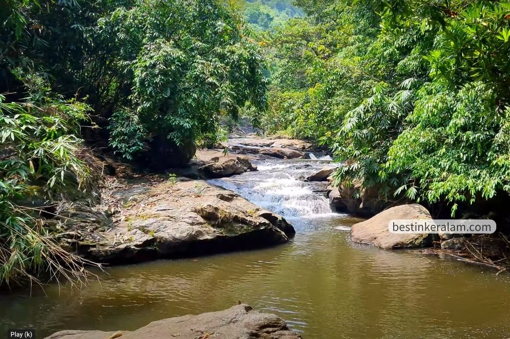 kalladi wayanad