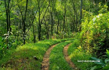 Kalladi wayanad