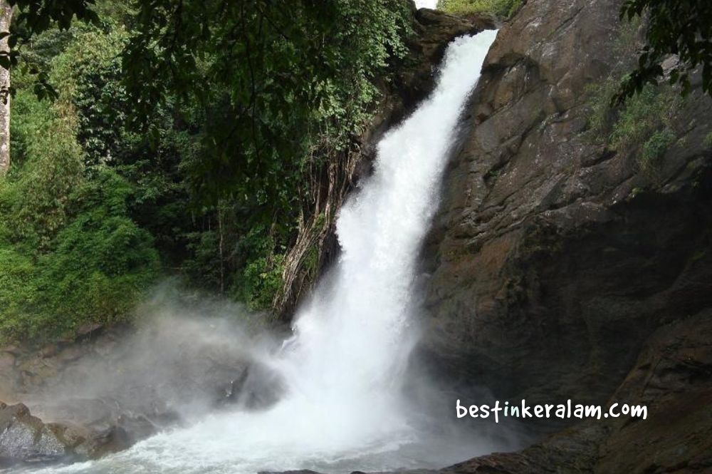 trekking at wayanad