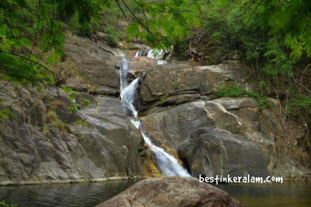 trekking at wayanad