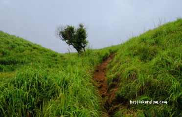 Chembra Peak