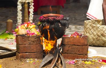 pongal festival